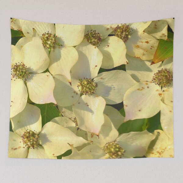 Item preview, Vintage cream yellow florals photo | dogwood | white and green floral  | magnolia tree  designed and sold by hollycooper.