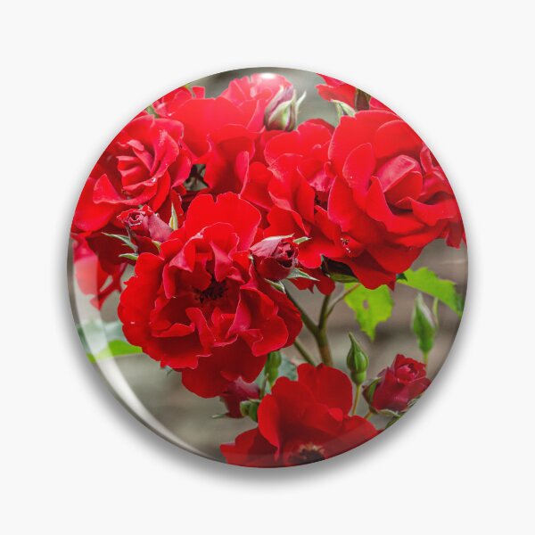 Item preview, Scarlet rose designed and sold by Dalyndigital Photography.