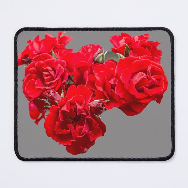 Item preview, Scarlet rose designed and sold by Dalyndigital Photography.