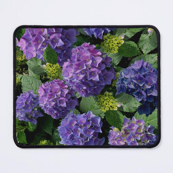 Item preview, Purple hydrangeas, periwinkle very peri hydrangeas, pink hydrangeas, blue hydrangeas | romantic farmhouse purple floral designed and sold by hollycooper.