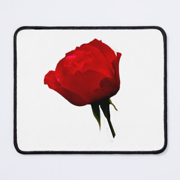 Item preview, Red Rose designed and sold by Dalyndigital Photography.