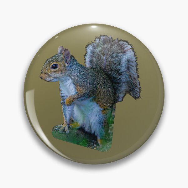 Item preview, Copy of Peek a boo Grey Squirrel designed and sold by Dalyndigital Photography.