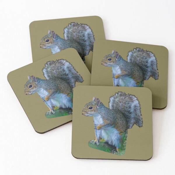Item preview, Copy of Peek a boo Grey Squirrel designed and sold by Dalyndigital Photography.