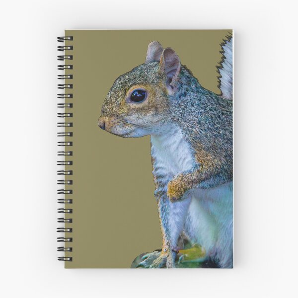 Item preview, Copy of Peek a boo Grey Squirrel designed and sold by Dalyndigital Photography.