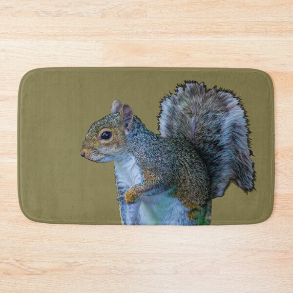 Item preview, Copy of Peek a boo Grey Squirrel designed and sold by Dalyndigital Photography.