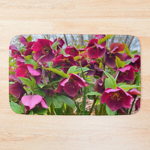 Item preview, Lenten Rose, pink Spring floral, Japanese gardens designed and sold by hollycooper.