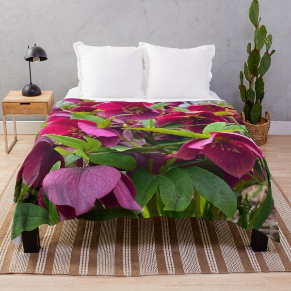 Item preview, Lenten Rose, pink Spring floral, Japanese gardens designed and sold by hollycooper.
