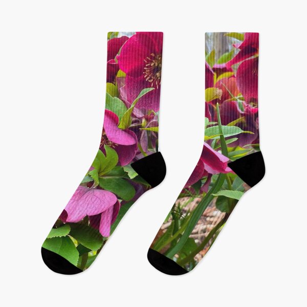 Item preview, Lenten Rose, pink Spring floral, Japanese gardens designed and sold by hollycooper.