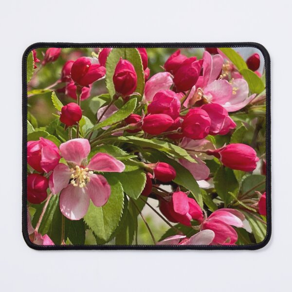 Item preview, Pink flower crabapple tree - pink cherry tree designed and sold by hollycooper.