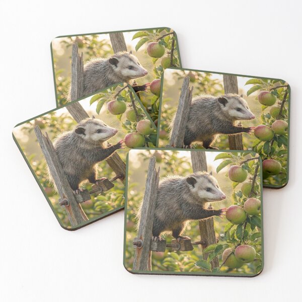 Item preview, Opossum Getting an Apple on Rickety Stilts designed and sold by Tridentulus.
