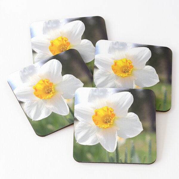 Item preview, Daffodil With Dreamy Background designed and sold by BostonArcImage.