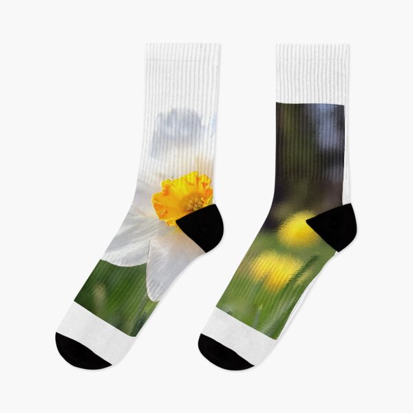 Item preview, Daffodil With Dreamy Background designed and sold by BostonArcImage.