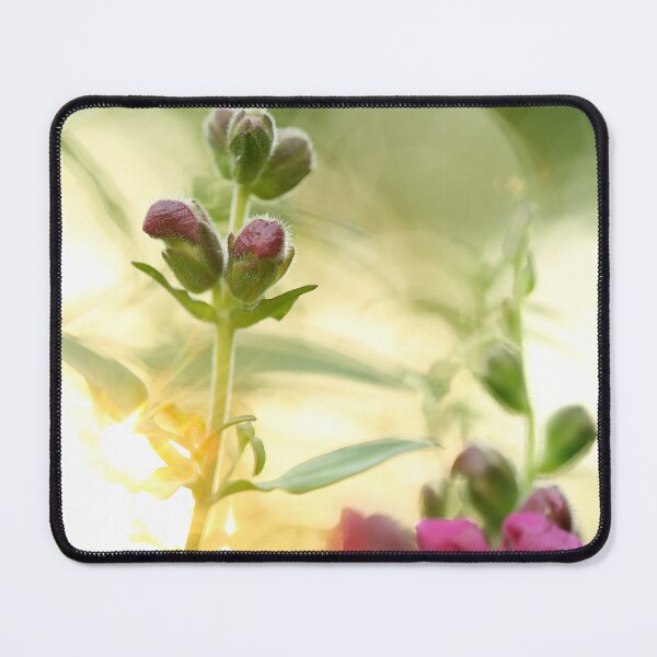 Item preview, Snapdragons designed and sold by Ilmenau78.