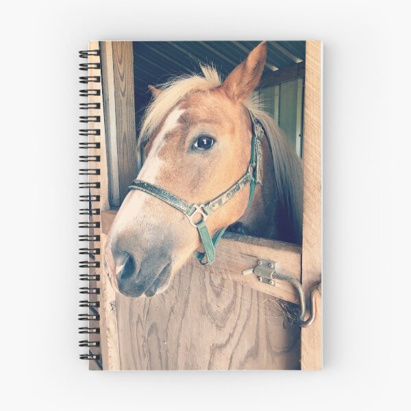 Item preview, Horse in Barn designed and sold by mowissawynnie.
