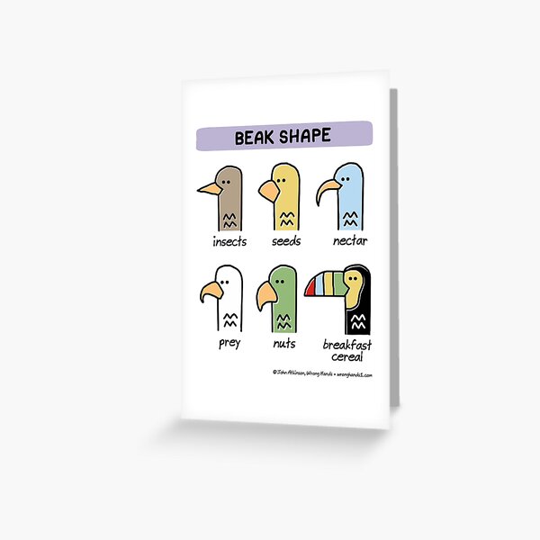 Item preview, beak shape designed and sold by WrongHands.