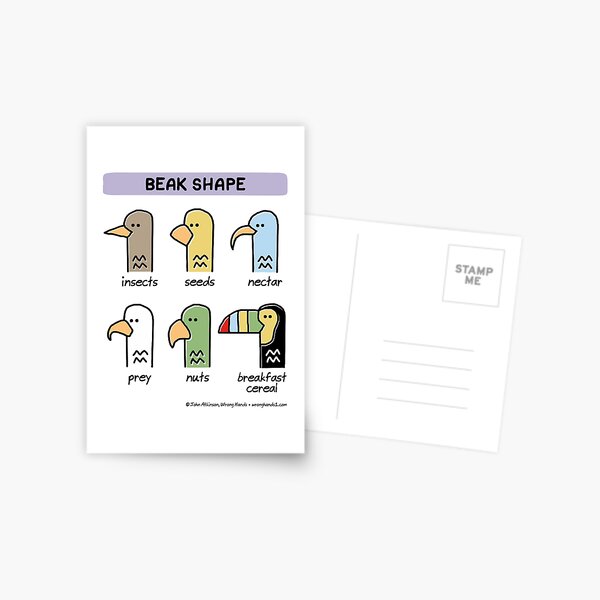 beak shape Postcard