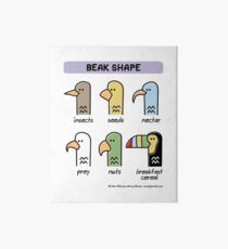 beak shape Art Board