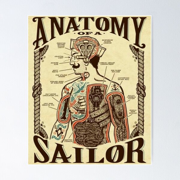 Anatomy sailor Poster