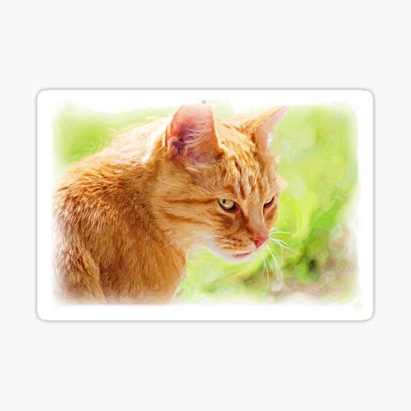 Artikel-Vorschau von Rote Katze, designt und verkauft von Glineur.