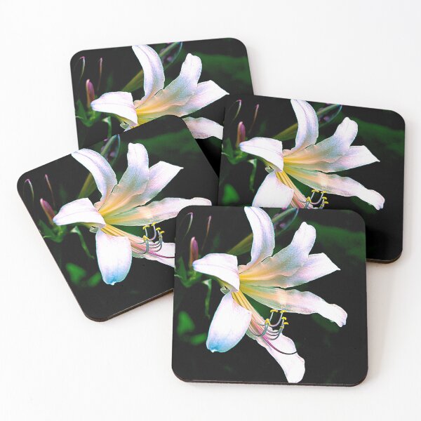 Item preview, White Flower ! designed and sold by JHeinz Arts.