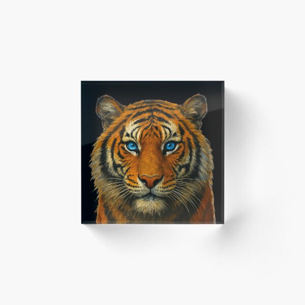 Artikelvorschau, Tiger entworfen und verkauft von Juzzy72.