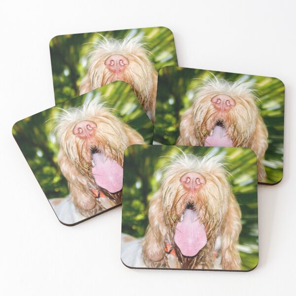 Item preview, Light speed Spinone by heidiannemorris designed and sold by FOLK ART FUSION by heidiannemorris.