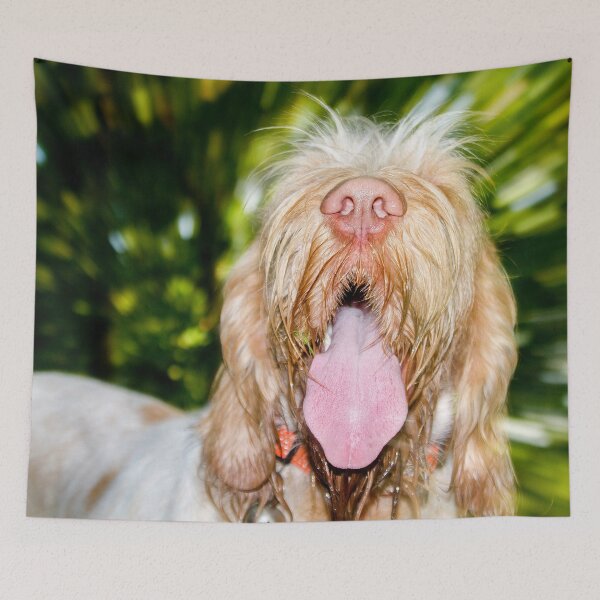 Item preview, Light speed Spinone by heidiannemorris designed and sold by FOLK ART FUSION by heidiannemorris.