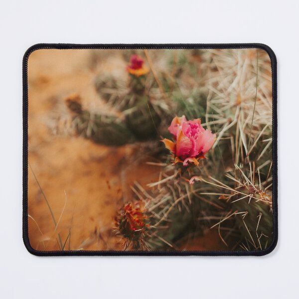 Item preview, Colorado Cactus designed and sold by A Erekson Art and Photography.