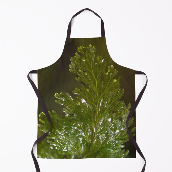 Item preview, Filmy fern designed and sold by GivernyKate.