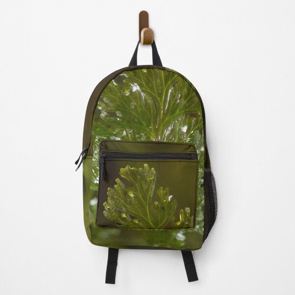 Item preview, Filmy fern designed and sold by GivernyKate.