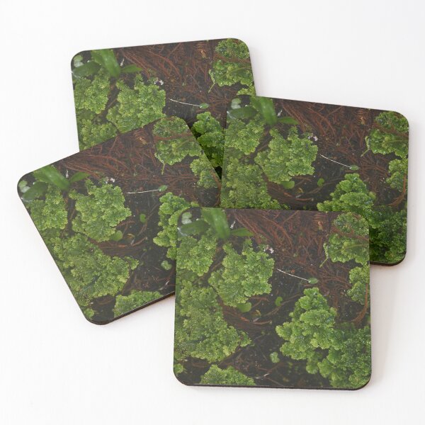 Item preview, Forest Lichen designed and sold by GivernyKate.