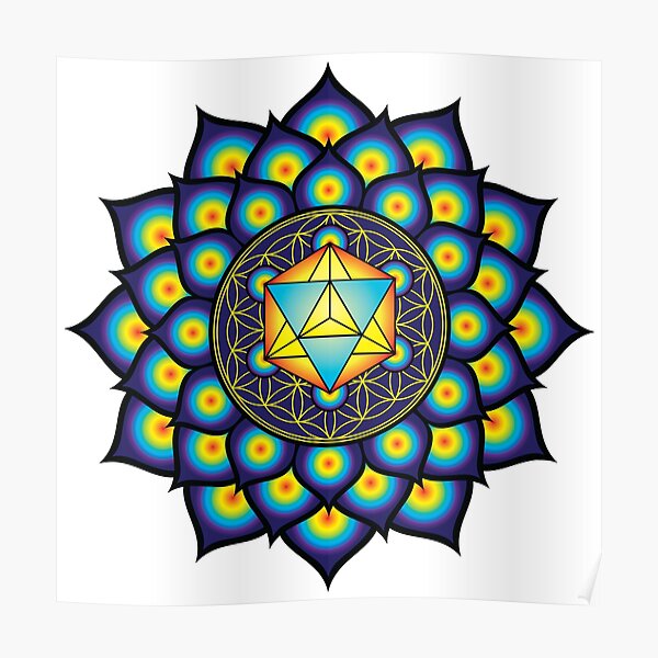 Flower Of Life Merkaba