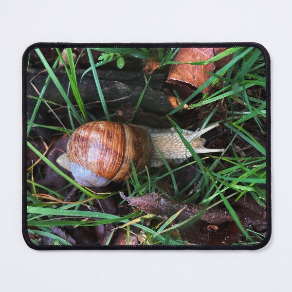 Item preview, Snail in the Grass – Nature Macro Photography designed and sold by vikko-art.