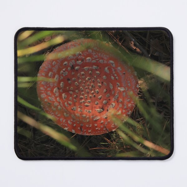 Item preview, Fly Agaric Mushroom in Pine Forest – Red Amanita Muscaria Macro designed and sold by vikko-art.