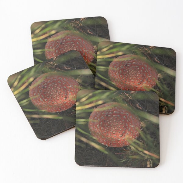 Item preview, Fly Agaric Mushroom in Pine Forest – Red Amanita Muscaria Macro designed and sold by vikko-art.
