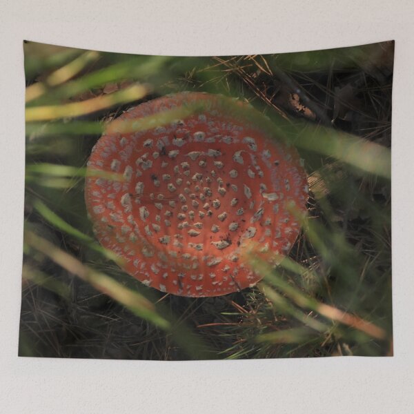 Item preview, Fly Agaric Mushroom in Pine Forest – Red Amanita Muscaria Macro designed and sold by vikko-art.