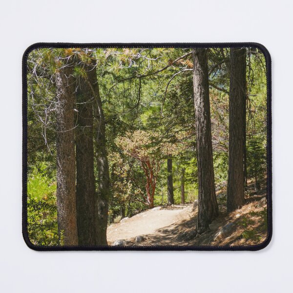 Item preview, Path Through the Whispering Pines designed and sold by TheHikersEye.