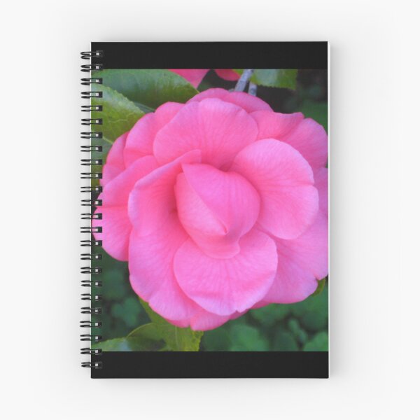 Item preview, Vibrant Pink Camellia with Shamrocks Hiding in the Background designed and sold by JoyousArt4u.