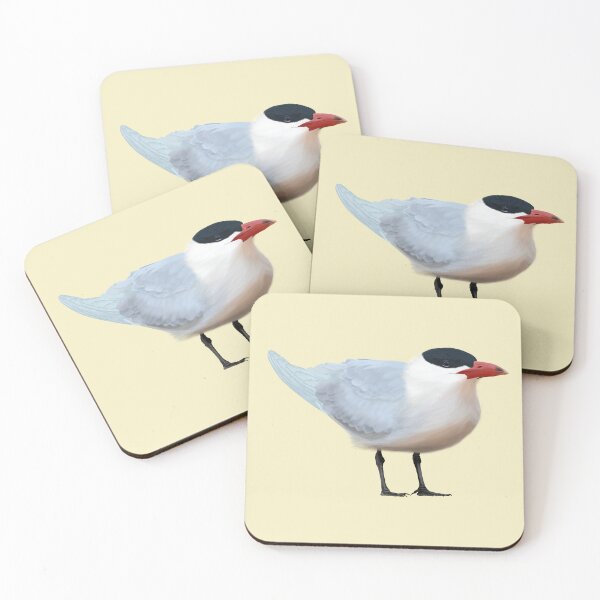 Item preview, Caspian Tern designed and sold by Windswell.
