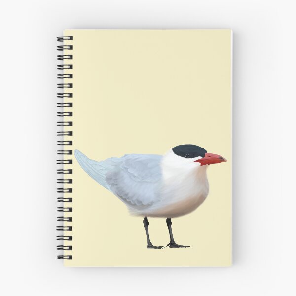 Item preview, Caspian Tern designed and sold by Windswell.