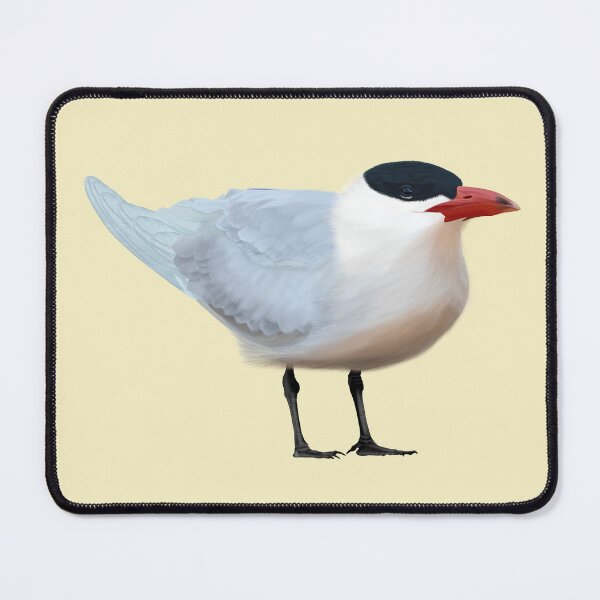 Item preview, Caspian Tern designed and sold by Windswell.
