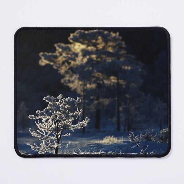 Item preview, 6.2.2026: Winter Morning Light designed and sold by Petri Volanen.
