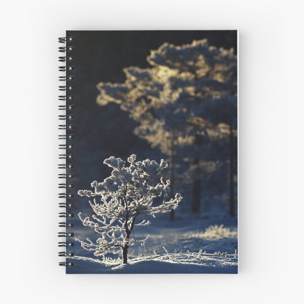 Item preview, 6.2.2026: Winter Morning Light designed and sold by Petri Volanen.