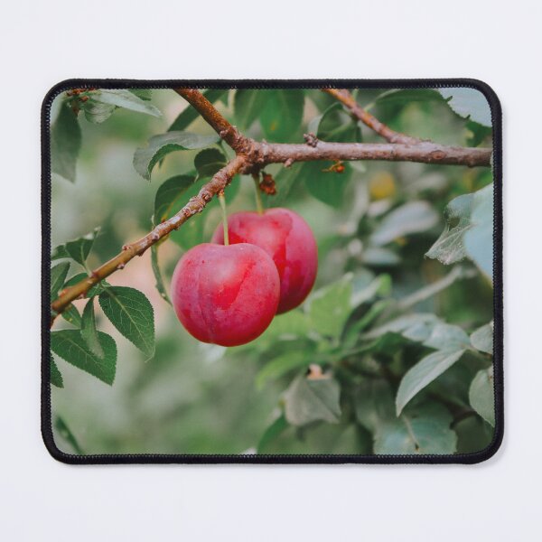 Item preview, Summer Harvest Plums designed and sold by DimitrovPrints .