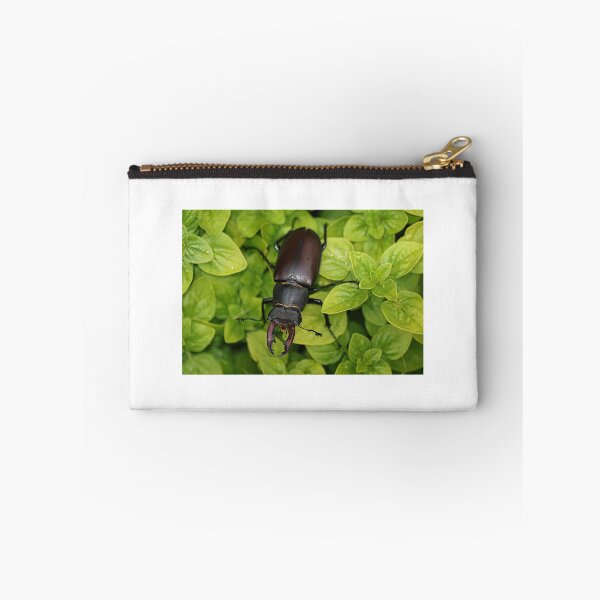 Item preview, Male Stag Beetle on Green Herbs designed and sold by HighEntorpyArt.