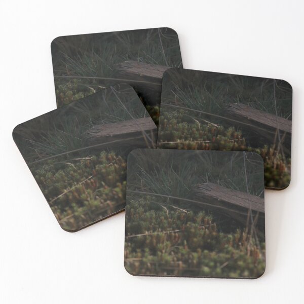 Item preview, Forest Moss and Old Wood Texture – Dark Nature Macro designed and sold by vikko-art.