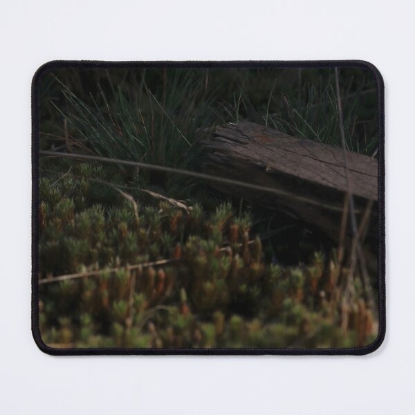 Item preview, Forest Moss and Old Wood Texture – Dark Nature Macro designed and sold by vikko-art.
