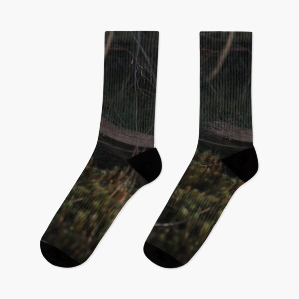 Item preview, Forest Moss and Old Wood Texture – Dark Nature Macro designed and sold by vikko-art.