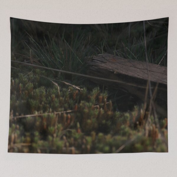 Item preview, Forest Moss and Old Wood Texture – Dark Nature Macro designed and sold by vikko-art.