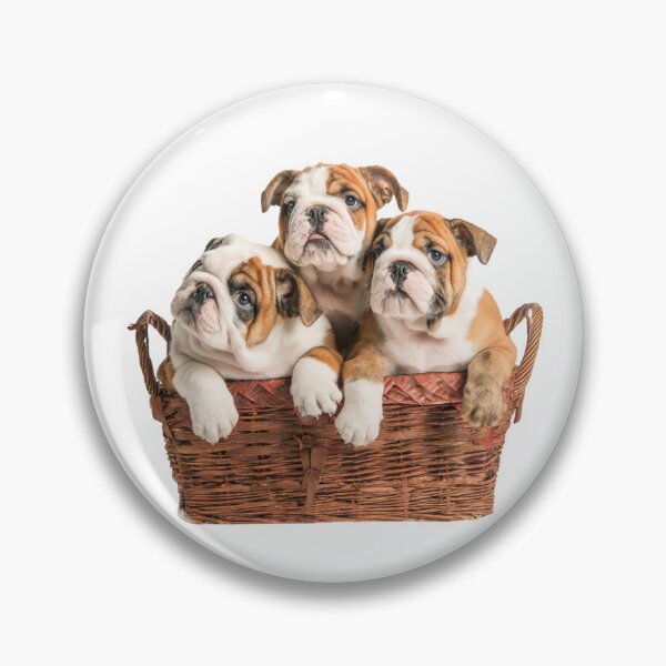 Item preview, Bulldog Puppies in a Basket designed and sold by LawleyKingdom.